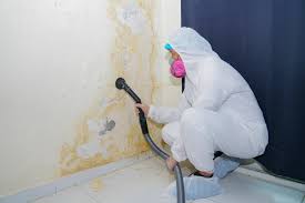 Why You Should Choose Our Mold Remediation Services in Beaver Falls, PA